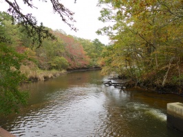 Herring Run IMG 4197
